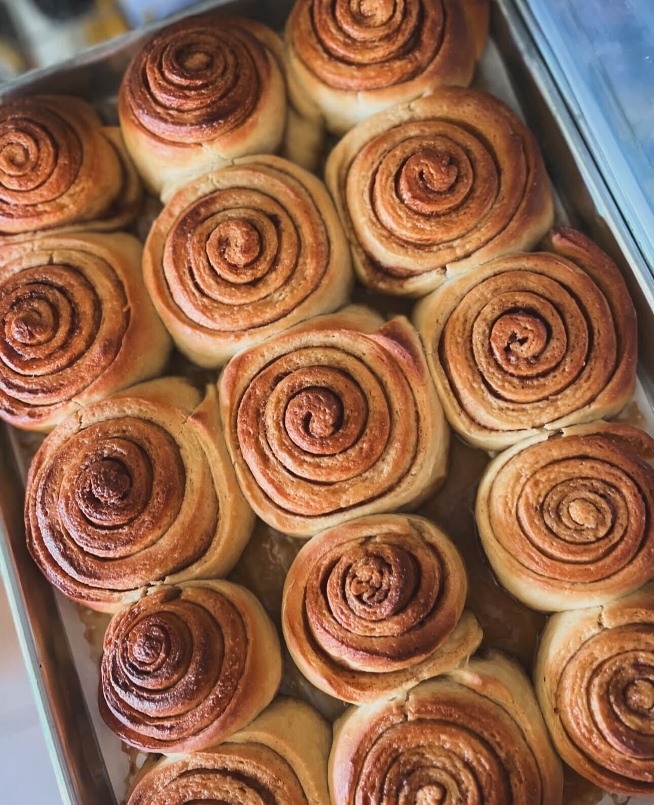 Cinnamon Rolls