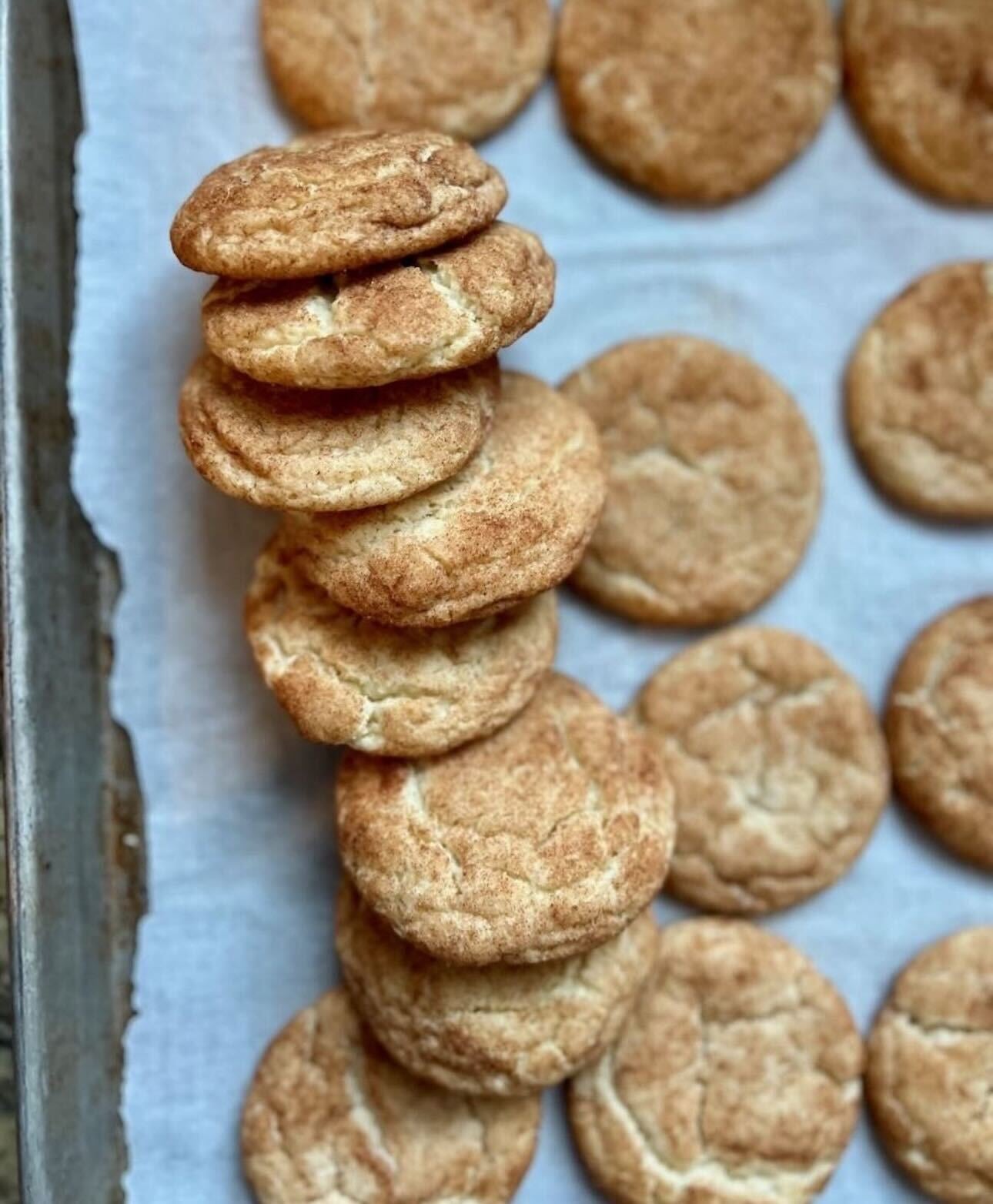 Golden Spice Cookies