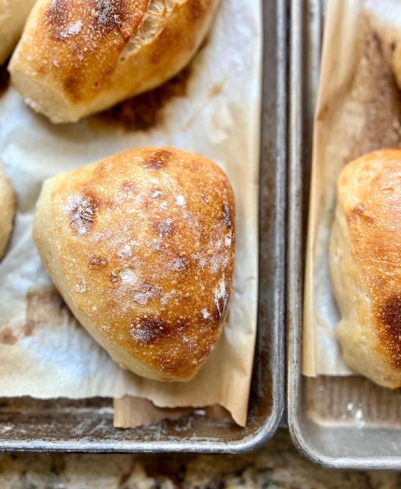 Ciabatta Rolls