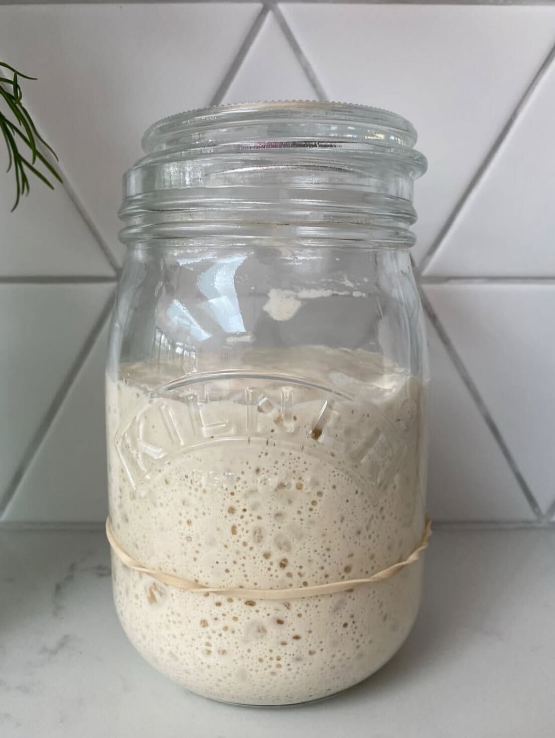 Jane Dough - Your Sourdough Starter