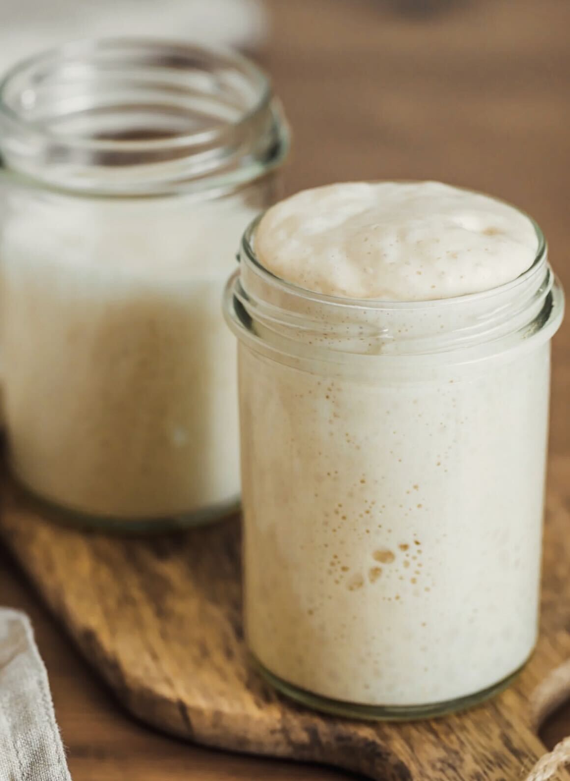Jane Dough - Your Sourdough Starter