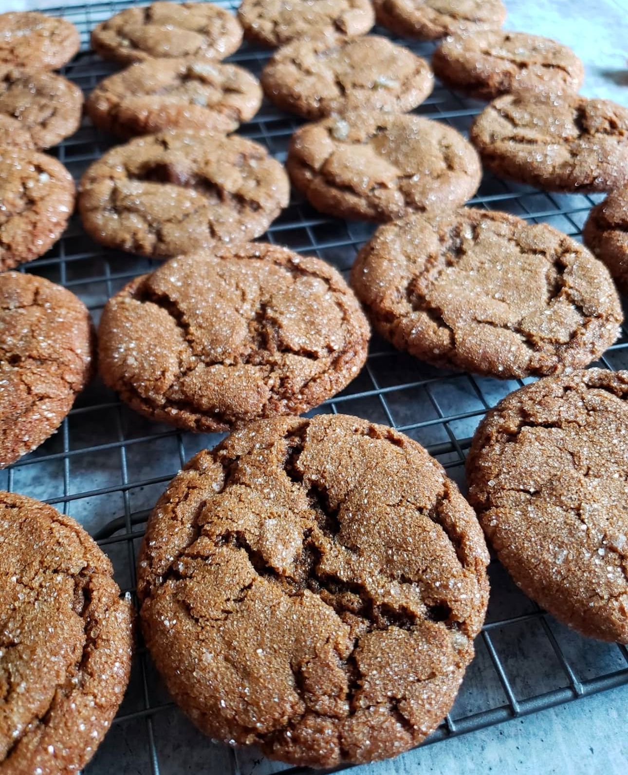 Ginger Molasses Cookies