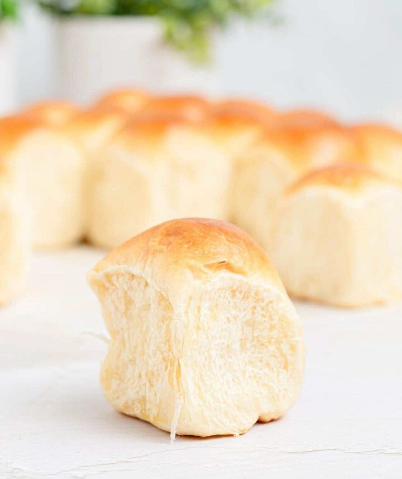 Sourdough Hawaiian Dinner Rolls