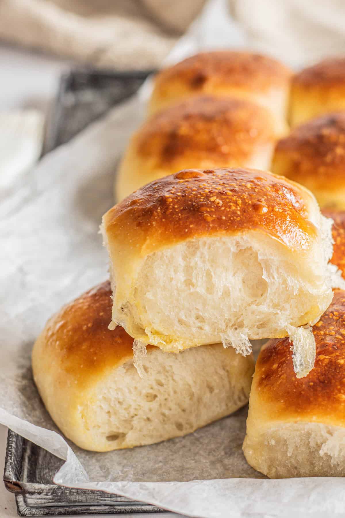 Dinner Rolls